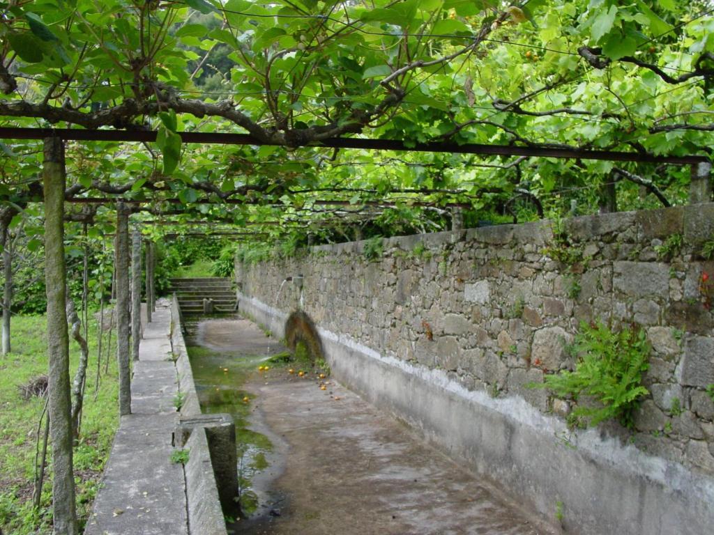 Quinta Da Picaria Panzió Santo Tirso Kültér fotó
